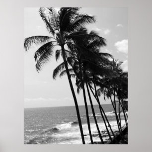 Hawaii Palm Trees Poster