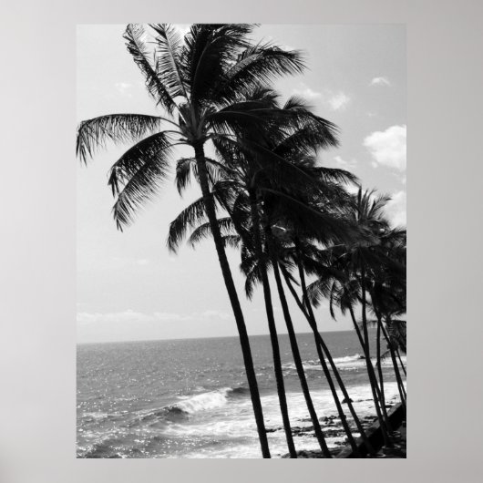 Hawaii Palm Trees Poster (Vorne)