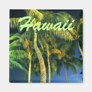 Hawaii-Palme-Magnet Magnet