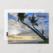 Hawaii Palms Postcard Postkarte (Vorne/Hinten)