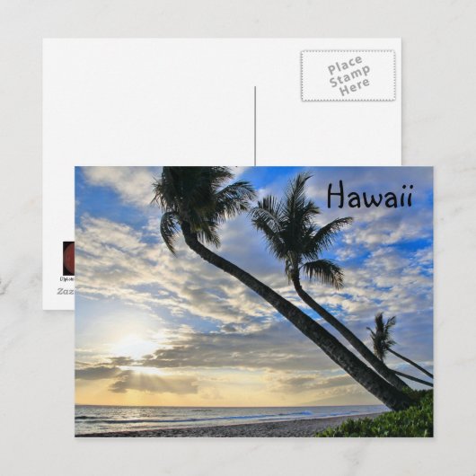 Hawaii Palms Postcard Postkarte (Vorne/Hinten)
