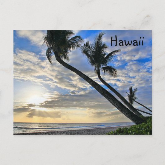Hawaii Palms Postcard Postkarte (Vorderseite)