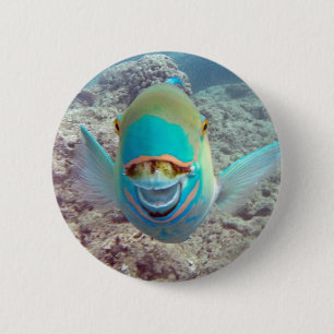 Hawaii-Papageien-Fische Button