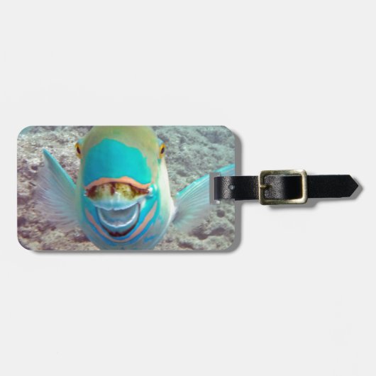 Hawaii-Papageien-Fische Gepäckanhänger (Vorderseite horizontal)