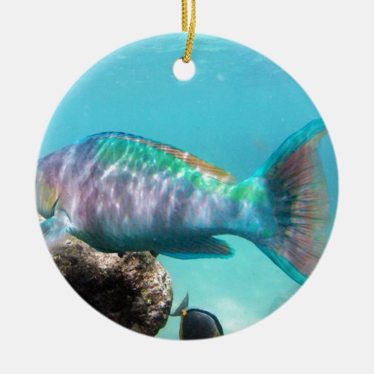 Hawaii-Papageien-Fische Keramik Ornament (Vorne)