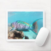 Hawaii-Papageien-Fische Mousepad (Mit Mouse)