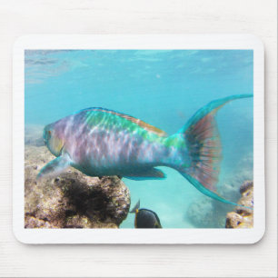 Hawaii-Papageien-Fische Mousepad