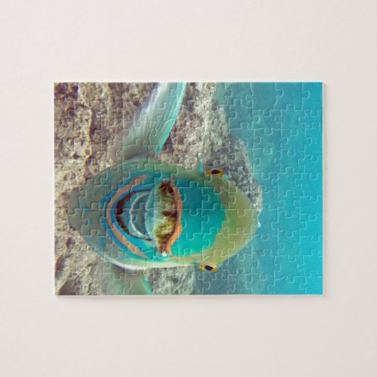 Hawaii-Papageien-Fische - Uhu Puzzle (Horizontal)
