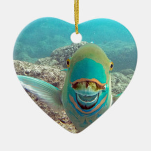 Hawaii-Papageienfisch - Uhu Keramik Ornament