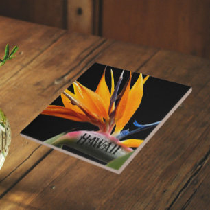 Hawaii Paradiesvogel-Pflanzenblüte Fliese