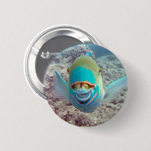 Hawaii Parrot Fish Button (Vorne & Hinten)