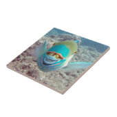 Hawaii Parrot Fish Fliese (Seite)