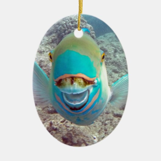 Hawaii Parrot Fish Keramikornament (Vorne)