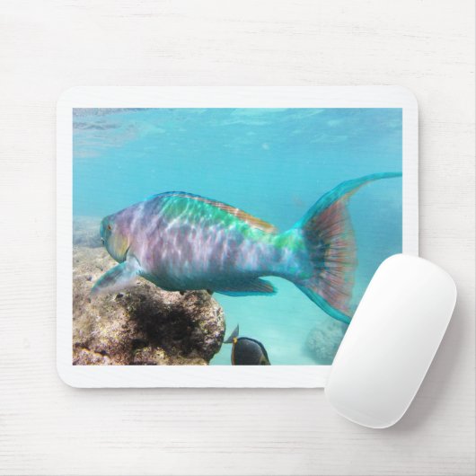 Hawaii Parrot Fish Mousepad (Mit Mouse)