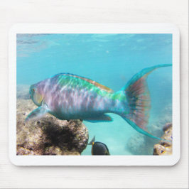 Hawaii Parrot Fish Mousepad