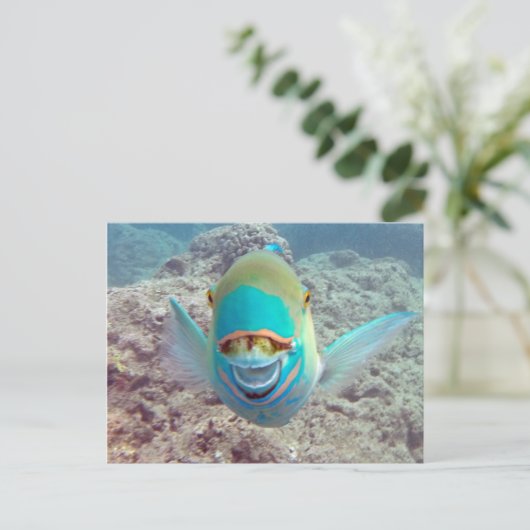 Hawaii Parrot Fish Postkarte (Stehend Vorderseite)