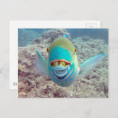 Hawaii Parrot Fish Postkarte (Vorne/Hinten)