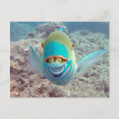 Hawaii Parrot Fish Postkarte (Vorderseite)