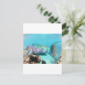 Hawaii Parrot Fish Postkarte (Stehend Vorderseite)