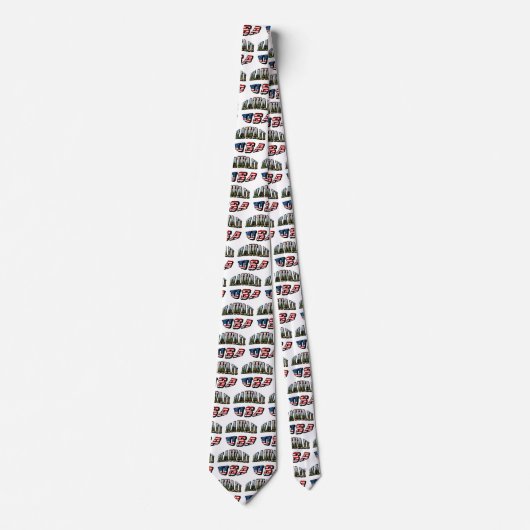 Hawaii Picture and USA Krawatte (Vorderseite)