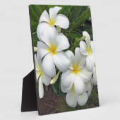 Hawaii Plumeria Blume Fotoplatte (Seite)