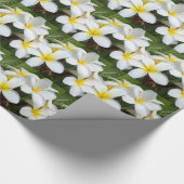 Hawaii Plumeria Blume Geschenkpapier (Ecke)