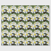 Hawaii Plumeria Blume Geschenkpapier (Flach)