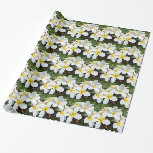 Hawaii Plumeria Blume Geschenkpapier (Ungerollt)