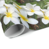 Hawaii Plumeria Blume Geschenkpapier (Rolleneckpunkt)