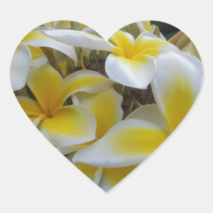 Hawaii Plumeria Blume Herz-Aufkleber