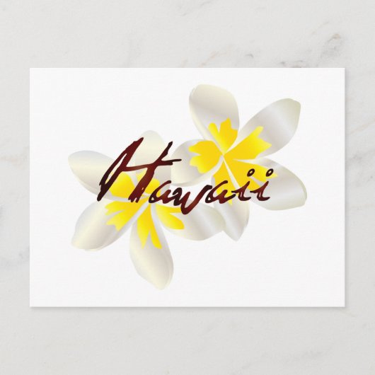 Hawaii Plumeria Blume Postkarte (Vorderseite)