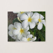 Hawaii Plumeria Blume Puzzle (Horizontal)