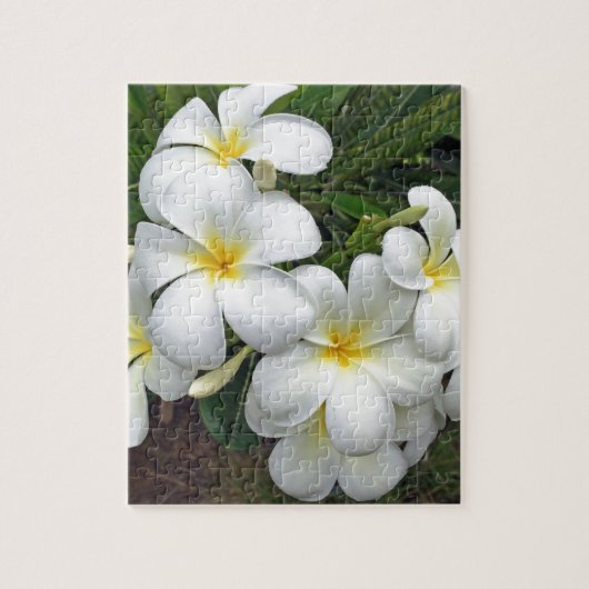 Hawaii Plumeria Blume Puzzle (Vertikal)