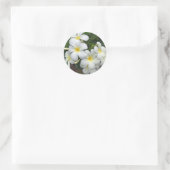 Hawaii Plumeria Blume Runder Aufkleber (Tasche)