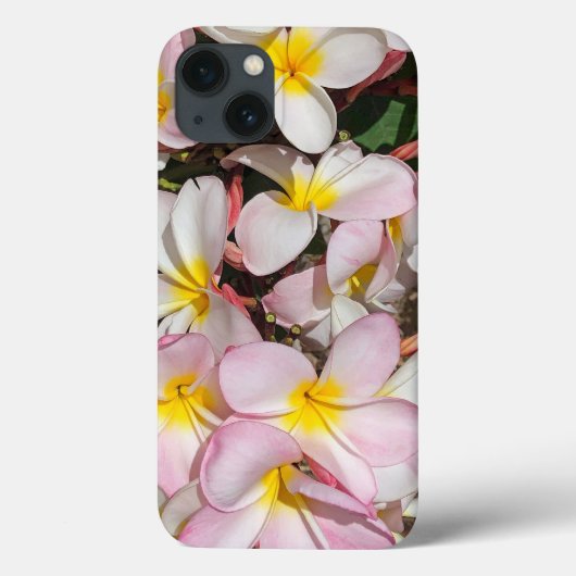 Hawaii Plumeria Case-Mate iPhone Hülle (Rückseite)