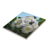 Hawaii Plumeria Fliese (Seite)