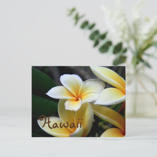 Hawaii Plumeria Postkarte (Stehend Vorderseite)