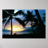 Hawaii Poster (Vorne)