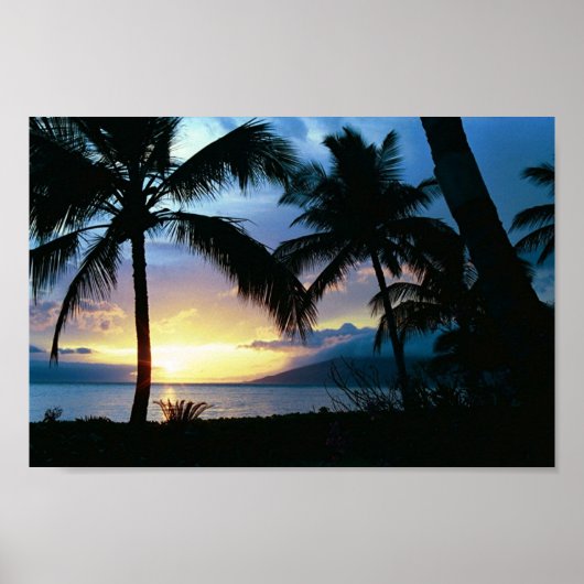 Hawaii Poster (Vorne)