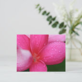 Hawaii Postkarte (Stehend Vorderseite)