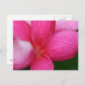 Hawaii Postkarte (Vorne/Hinten)