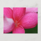 Hawaii Postkarte (Vorderseite)