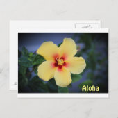 hawaii Postkarte mit der hawaii Staat Blume. (Vorne/Hinten)