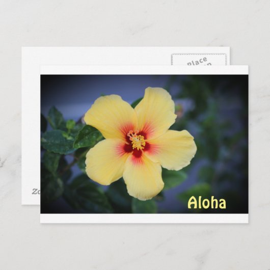 hawaii Postkarte mit der hawaii Staat Blume. (Vorne/Hinten)