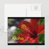 Hawaii Postkarten (Vorne/Hinten)