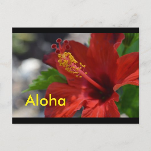 Hawaii Postkarten (Vorderseite)