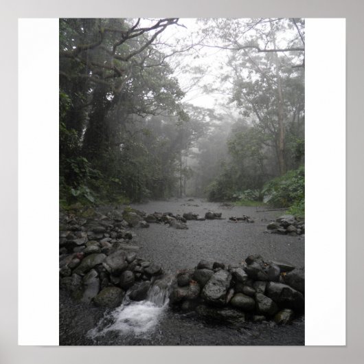 Hawaii Rain Poster (Vorne)