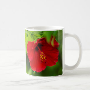 Hawaii Red Hibiskus Blume Kaffeetasse