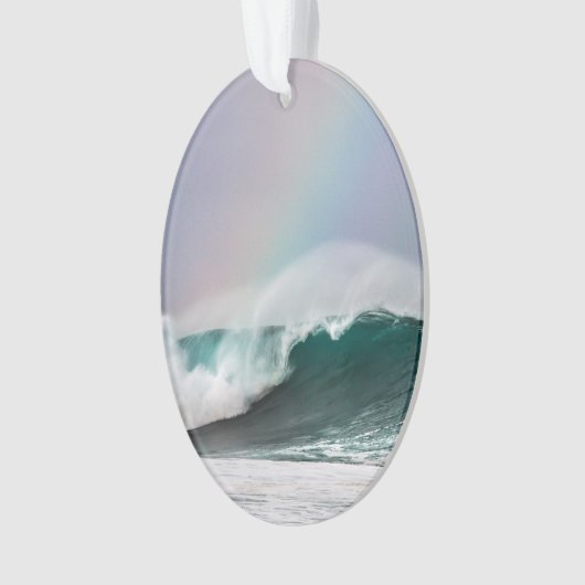 Hawaii-Regenbogen bewegt ovale Ornament (Vorderseite)