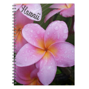Hawaii rosa Plumeria-Blumen Notizblock